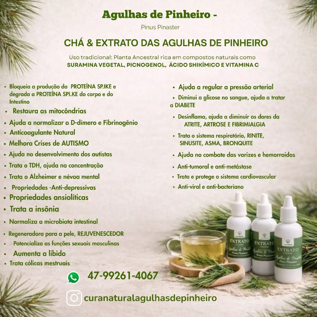 EXTRATO DA AGULHA DE PINHEIRO PINUS PINASTER - KIT COM 3 UNIDADES-  BRINDE 1 MAÇO DE AGULHAS DE PINHEIRO