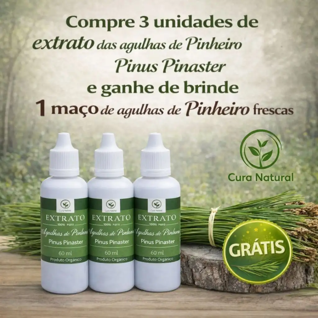 EXTRATO DA AGULHA DE PINHEIRO PINUS PINASTER - KIT COM 3 UNIDADES-  BRINDE 1 MAÇO DE AGULHAS DE PINHEIRO