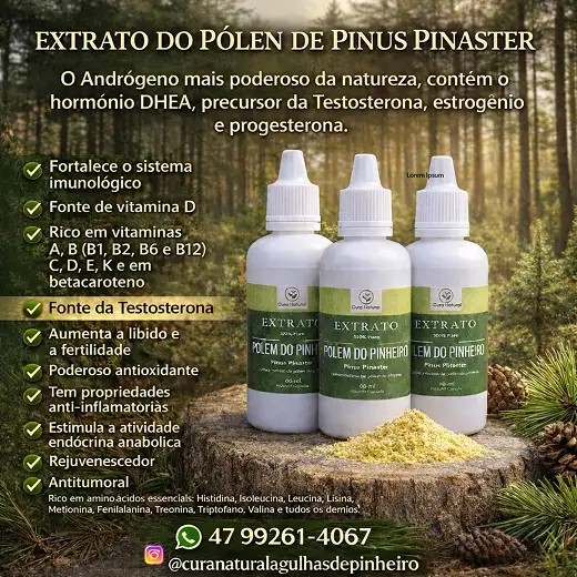 EXTRATO DO PÓLEN DE PINUS PINASTER