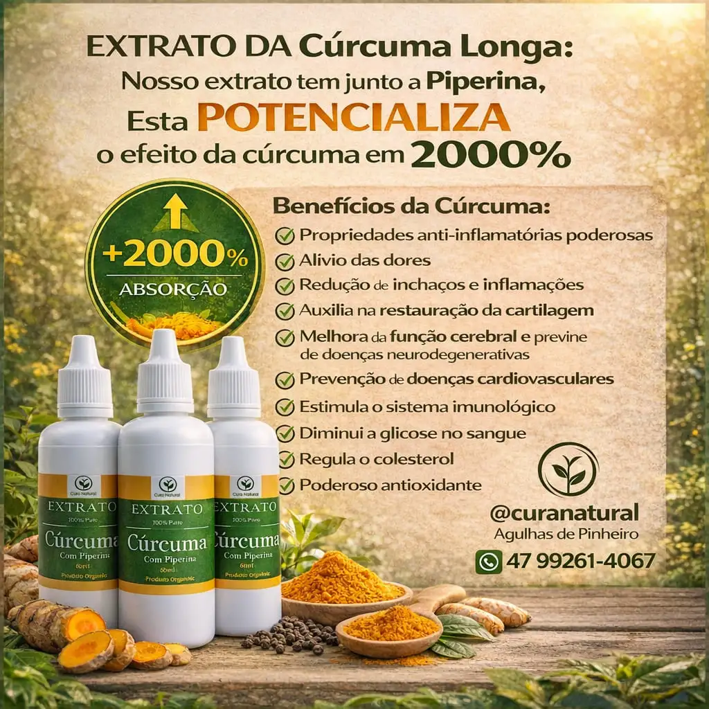 EXTRATO DE CÚRCUMA LONGA COM PIPERINA - KIT COM 3 UNIDADES - BRINDE 1 MAÇO DE AGULHAS DE PINHEIRO